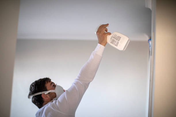 Best Commercial Mold Removal  in Alanuk, AK