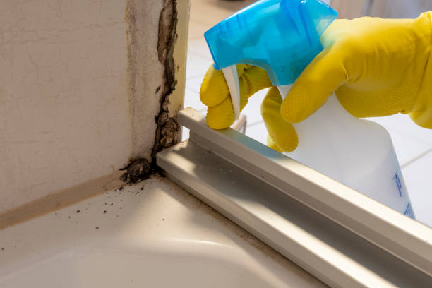Best Residential Mold Removal  in Alanuk, AK