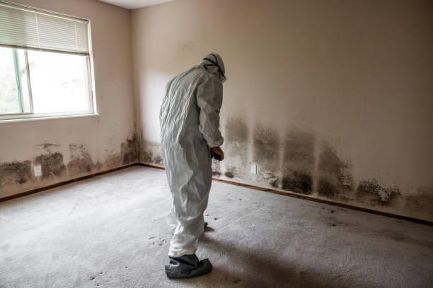 Best Toxic Mold Removal  in Alanuk, AK