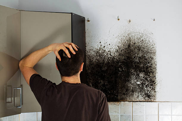 Best Home Mold Removal  in Alanuk, AK